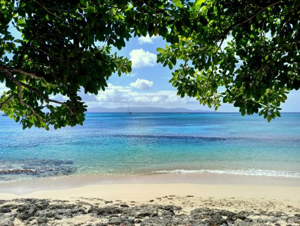 istock port louis souffleur beach seen from under the tree, guadeloupe 2154960529