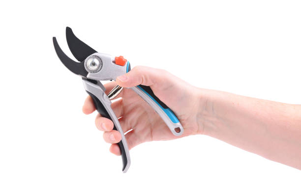 istock Steel garden secateurs, scissors with gray plastic handle in male's hand isolated on a white background. 2154963642