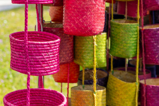 Hanging flower pot with tropical plant at pink wall