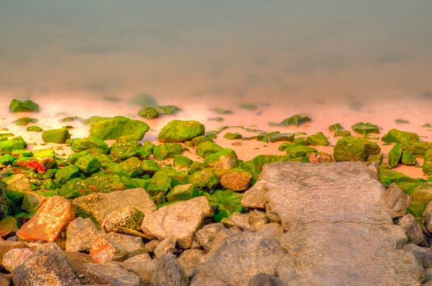 Rocks on the Seashore in Long Time Exposure