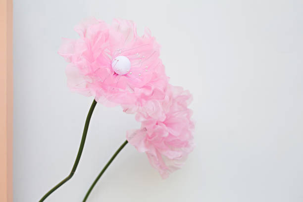 Pink flowers sorted on a white background without copy space.