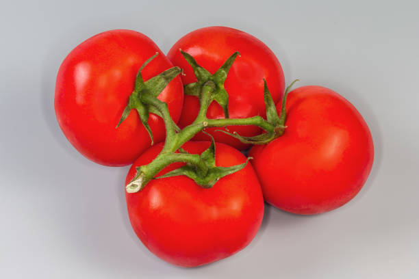 istock Red tomatoes on branch on a gray background 2154968548