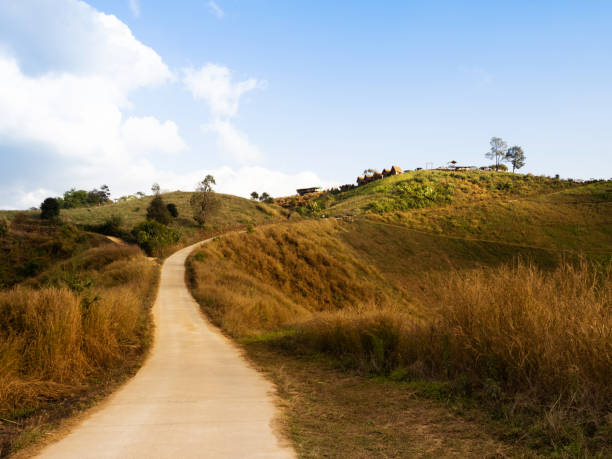 istock Rural road on grass hills under blue sky in evening 2154970707
