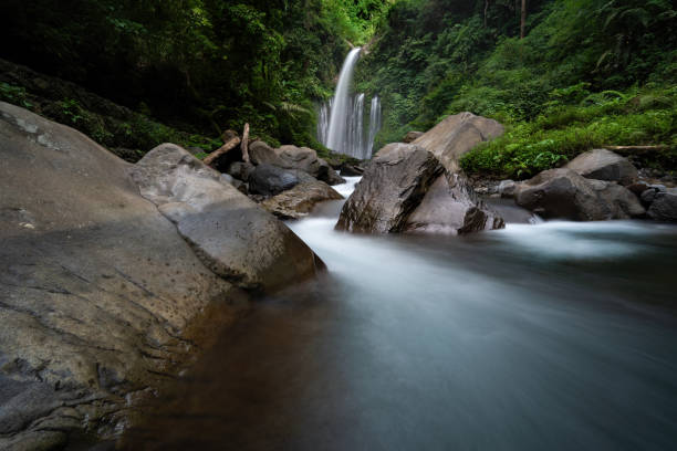 istock tiu kelep serenity 2154970787