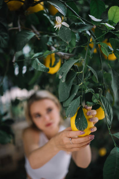 istock Woman holding a lemon from the tree 2154970871