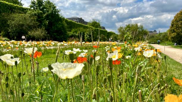 istock Jardin des Plantes 2154970887