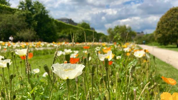 istock Jardin des Plantes 2154970889