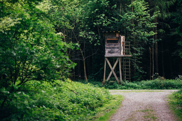 Wooden hunting tower in a forest, Bavaria. Germany