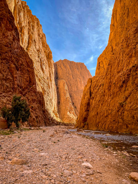 istock Majestic Todra Gorge Morocco 2154975063