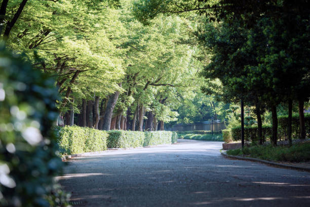 istock Nagai Park scenery 2154977746
