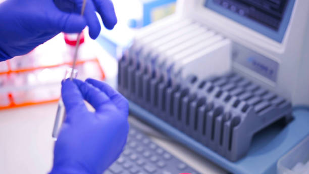 istock Putting a cotton swab into the test tube with tests 2154978427