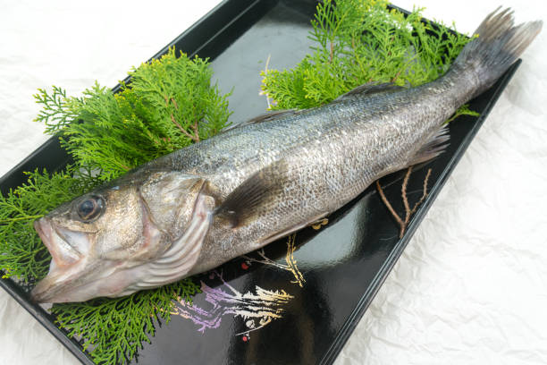 Fresh sea bass served on a tray