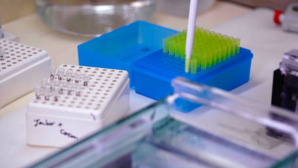istock Laboratory Vials and Pipette in Use 2154978510