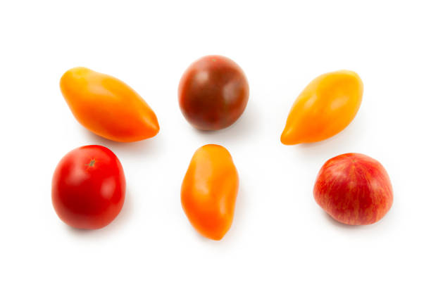 Assort of different shape and color whole ripe juicy tomatoes with soft shadow isolated on white background with clipping path. Vegetables collection on white.