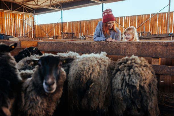 istock Mother and daughter learning about sheep  farming 2154987175