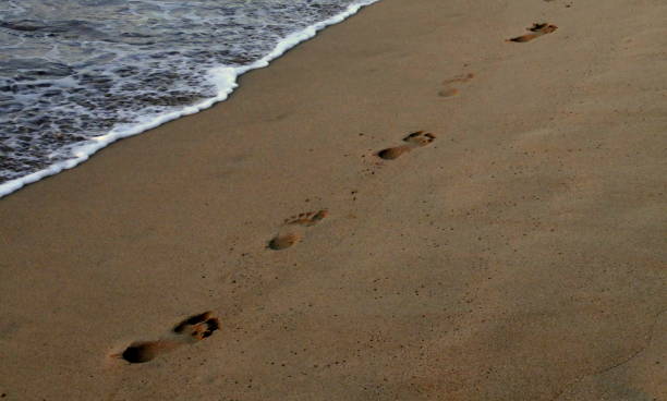 istock footstep in the sand by the sea in evening 2154987772
