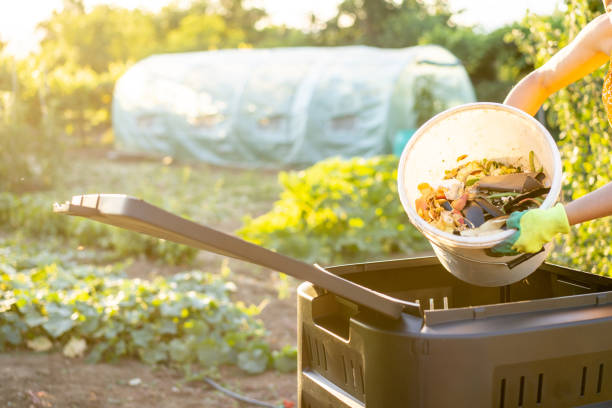 Hands are emptying a bucket of vegetable peelings into a large recycling bin to make sustainable compost for a large vegetable garden