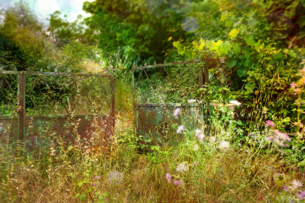 partially opened gate garden doorway abandoned rusted and weathered with tall green grass waving in the wind