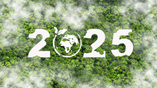istock New Goals, Plans and Visions for Next Year 2025. Sustainable environment development goals, green business, ESG, Co2, SDGs, and NetZero Concept. World Environment Day. Save Earth. 2154998431