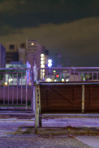 深夜の公園のベンチを後ろから見た素材