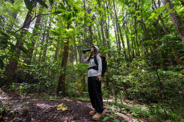 istock Female hiker drinking water in nature 2155001877
