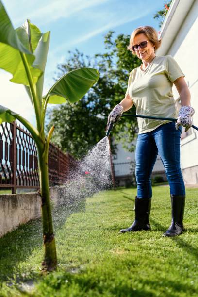 istock Woman watering garden 2155002916