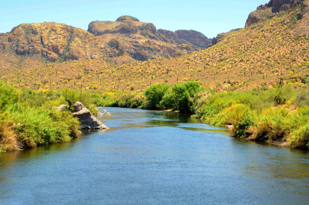 istock Salt River Recreation Area Arizona 2155004151