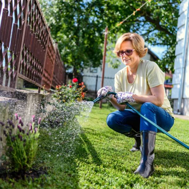 istock Woman watering garden 2155004402