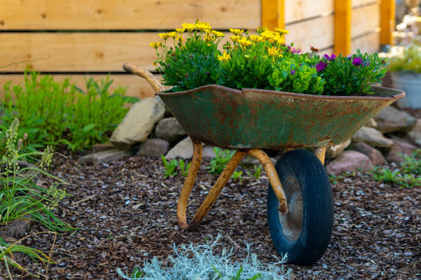 istock wheelbarrow filled with flowers is sitting on a gravel path 2155006621