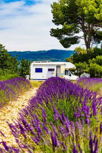 istock Caravan camping at lavender field, France 2155009622