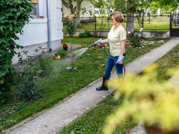 istock Woman watering garden 2155013198