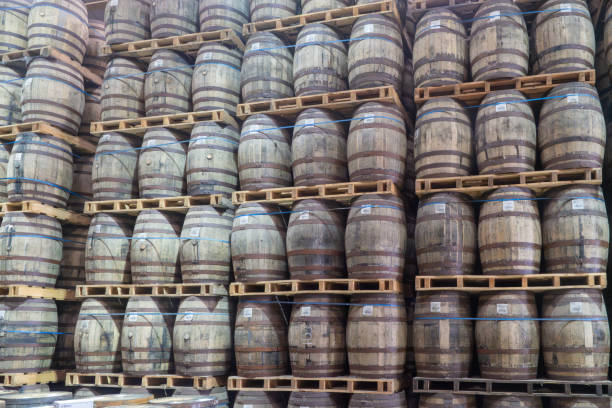 22.05.24 Campbletown, Argyll and Bute, Scotland, UK. Whisky barrels stacked to the roof tps inside Glen Scotia distillery