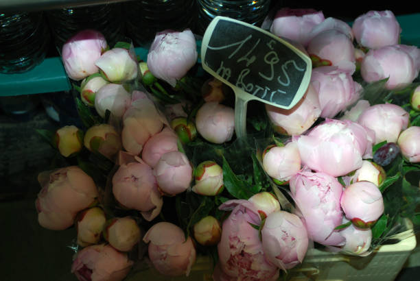 A bunch of pink flowers for sale in a flower shop in the heart of Paris France.