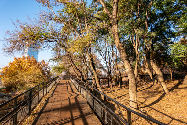 istock Pedestrian gangway in a park 2155023129