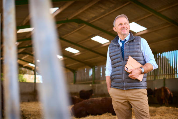 istock Mature Male Farm Worker Or Manager Standing Inside Cattle Barn With Digital Tablet 2155032039