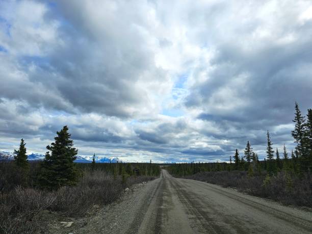 istock Early Spring Denali Highway Alaska 2155035031