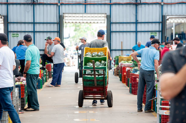 Man using a hand truck at Vegetables and Fruits Supply Center (CEASA) Caxias do Sul, RS, Brazil - Oct 13th 2022: Man using a hand truck at Vegetables and Fruits Supply Center (CEASA) fruit cart vendor stock pictures, royalty-free photos & images