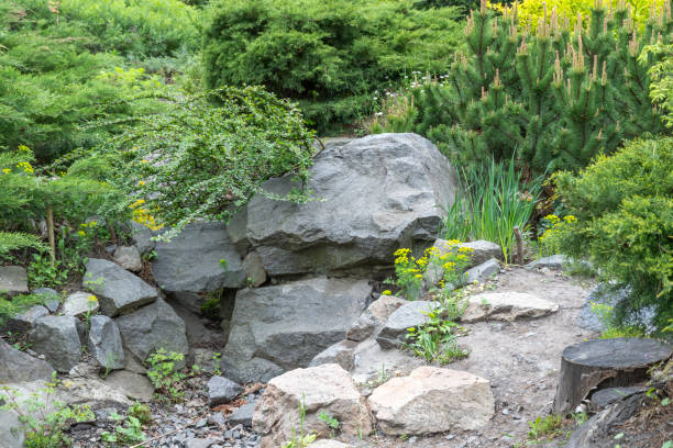 istock Application natural stone in landscape design. Stone path in garden. 2155039485