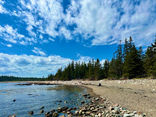 istock Wonderland Trail, Acadia National Park 2155044564