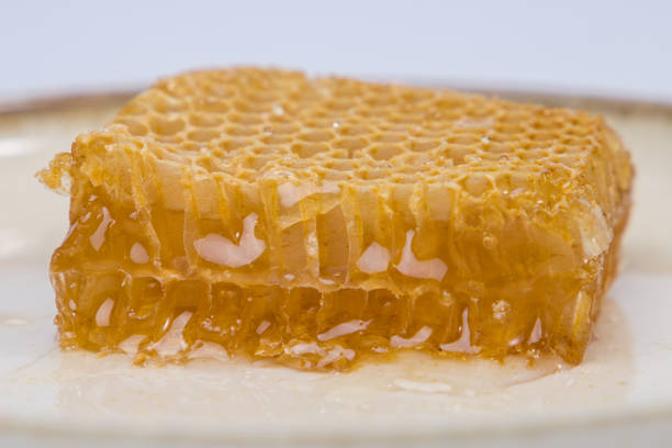close up of honeycomb with honey