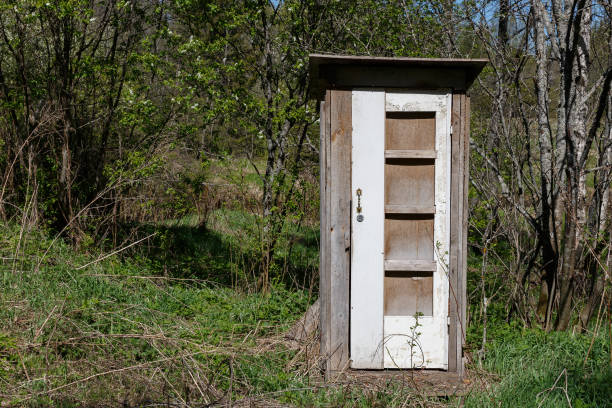 Wooden toilet in the forest. Toilet with a white closed door near trees on green grass.