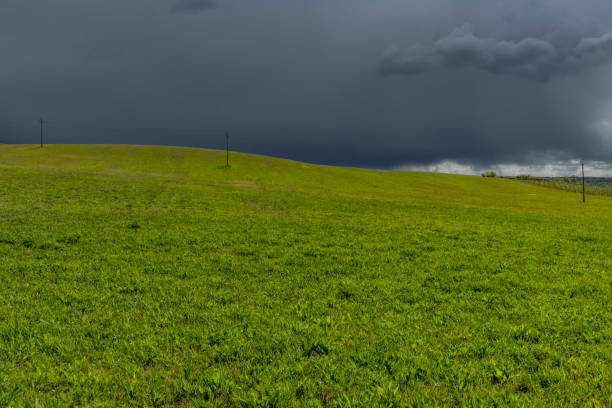 Meadows and fields near Mikulov town before storm in spring hot color fresh day