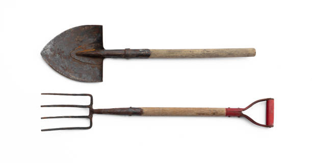 istock old garden tools, shovel, pitchfork isolated on white background 2155054256