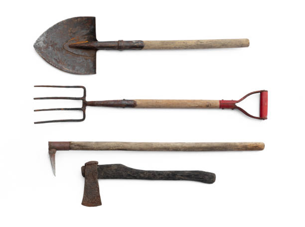 istock old garden tools, shovel, pitchfork isolated on white background 2155054262