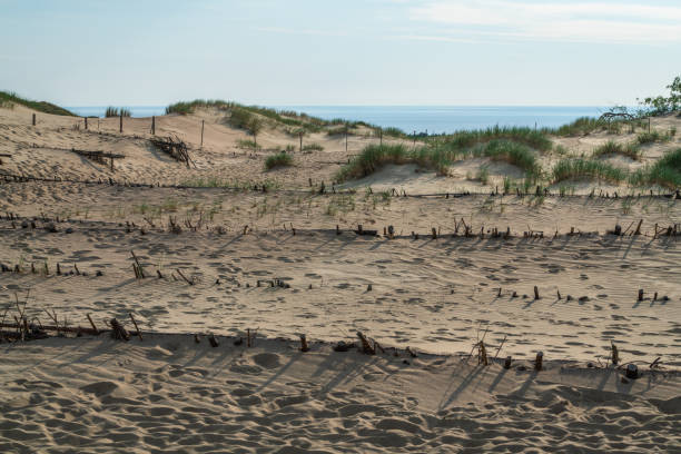 Beautiful Grey Dunes, Dead Dunes at the Curonian Spit in Nida, Neringa, Lithuania