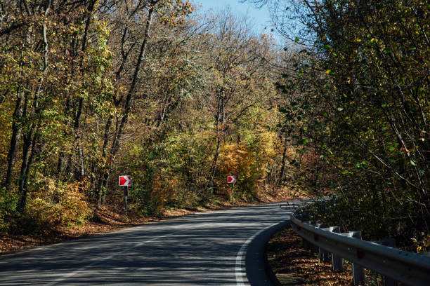 Turning a road in an autumn forest
