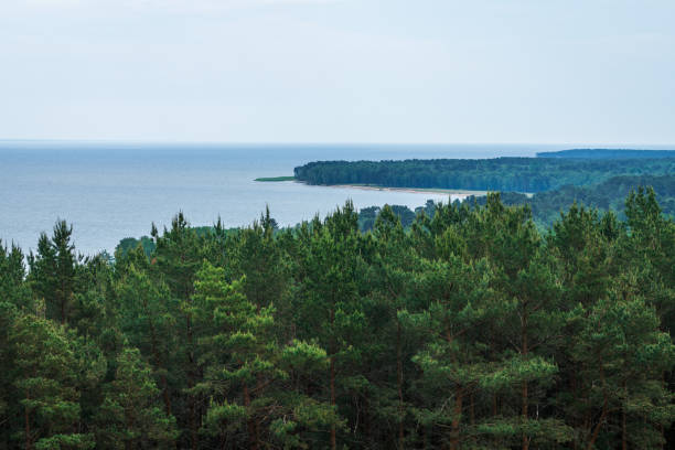 View from Artist Dune in Preila, Curonian Spit, Lithuania