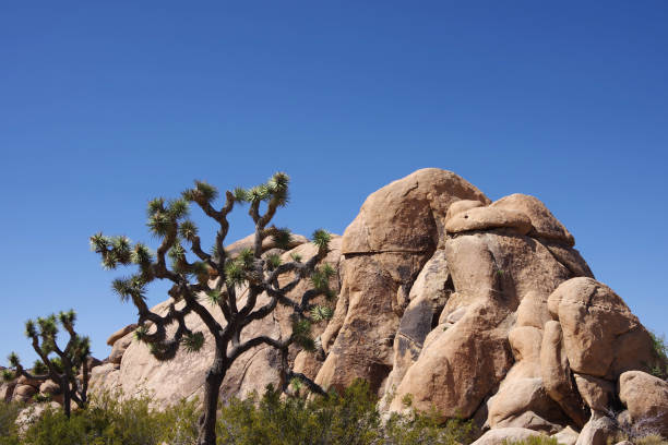 istock Desert mountain boulders landscape 2155059985