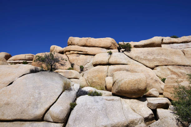 Sunlit boulders cluster in the arid expanse of Joshua Tree National Park, showcasing rugged desert geology and sparse vegetation beneath a clear blue sky.