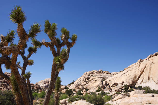istock Desert mountain boulders landscape 2155060026